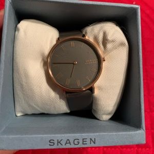 Skagen gray watch